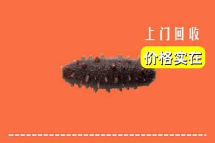 收购资讯:兰山区回收海参